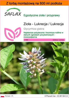 Zdjęcie produktu dla SAFLAX - Garden in the bag - Zioła - Lukrecja / Lukrecja - 30 Nasiona - Z podłożem uprawowym w praktycznej, samorozkładającej się torbie - Glycyrrhiza glabra
