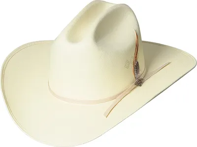 A single cowboy hat is shown against a white background.