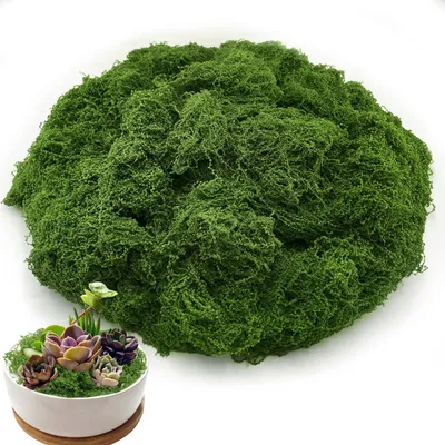 Produktbild von 200 g künstliches Moos, dunkelgrünes künstliches Moos zur Dekoration, für Bastelprojekte und Bonsai-Gestaltung (dunkelgrün)