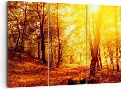Produktbild von Bild auf Leinwand - Leinwandbild - Wald Baum Natur - 105x70cm - Wand Bild - Wanddeko - Wandbilder - Leinwanddruck - Bilder - Kunstdruck - Wanddekoration - Leinwand bilder - Wandkunst - CE105x70-3722