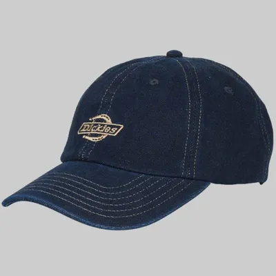 Image de Dickies Dk0a867hrin1 Couleur Bleu