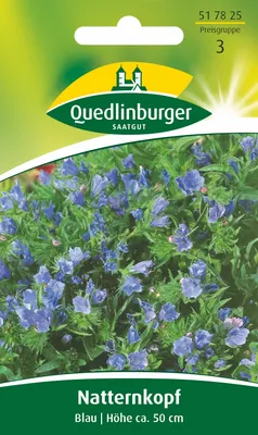 Produktbild von Natternkopf Blau | Wildblumensamen von Quedlinburger