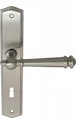 A silver-colored door handle and plate on a white background.