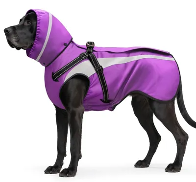 Produktbild von Omgoods – Wasserdichte Regenjacke für Hunde, geeignet für kleine und große Hunde