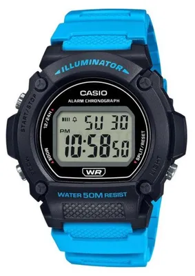Image de Regardez Casio W219H2A2VEFXXA