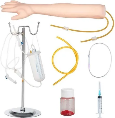 Imagen del producto de Brazo de entrenamiento intravenoso para la práctica de punción de arterias y venas | Modelo de brazo para prácticas | Brazo de entrenamiento