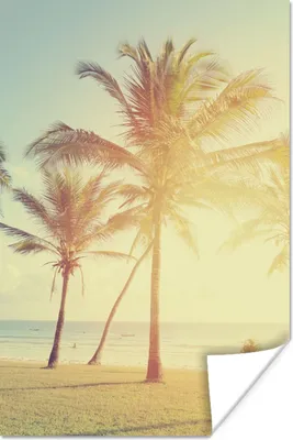 Produktbild von MuchoWow® Poster Meer - Palme - Sommer - Sonne - Strand 120x180 cm - Kunstposter
