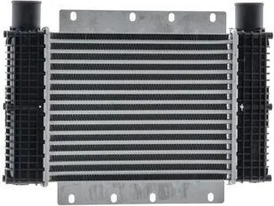 Immagine prodotto di Carrello elevatore MAHLE CI 544 000P