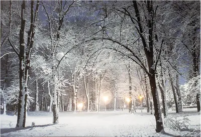Image de Panneau Led Paysage Enneigé Décoration Lumineuse Hivernale, 6 Leds - Lumineo