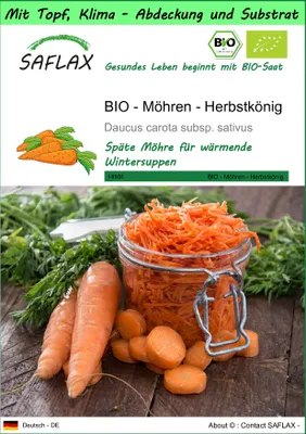 Produktbild von SAFLAX Garden to go - BIO - Möhren - Herbstkönig - Daucus carota subsp. sativus - 1000 Samen - Mit Topf, Klima - Deckel und Anzuchtsubstrat