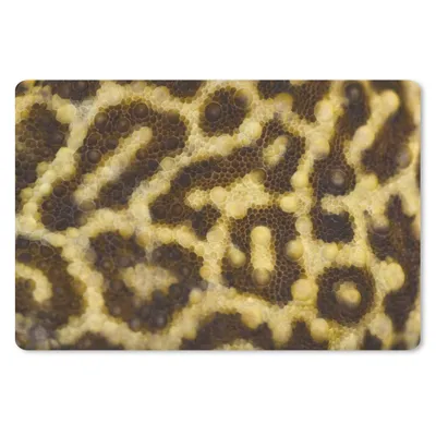 Produktbild von MuchoWow® Mauspad Mousepad Nahaufnahme von Leopardenmustern 27x18 cm - Mousepads - Maus Mat - Pad - Mausunterlage - Büroartikel - Desk Matten