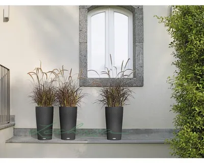 Obrázek produktu pro Plastový samozavlažovací květináč Lechuza Cilindro Cottage Ø 23 x 41 cm žula včetně systému zavlažování půdy