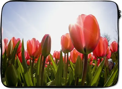 Produktbild von MuchoWow® Laptop Hülle 14 ZollBlumen - Tulpen - Sonne Laptoptasche - Laptoptasche - Stoßsicher - Schutzhaube
