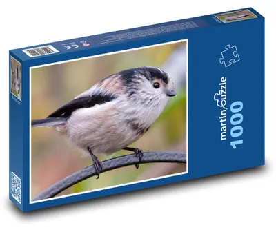 Obrázek produktu pro Puzzle 1000 Pták na větvi - martinpuzzle