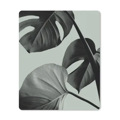 Produktbild von MuchoWow® Mauspad Mousepad Monstera - Blätter - Grün - Stilleben 30x40 cm - Mousepads - Maus Mat - Pad - Mausunterlage - Mausmatten
