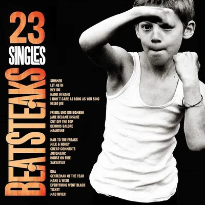 Obrázek produktu pro Beatsteaks: 23 Singles (remastered)