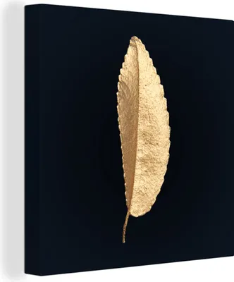 Produktbild von MuchoWow® - Leinwandbilder - Blätter - Schwarz und Gold - Luxus - Chic - Natur, Wandbild, Wanddeko Bilder Wohnzimmer, 20x20cm