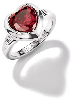 Obrázok produktu pre Thomas Sabo TR2524-051-10-50