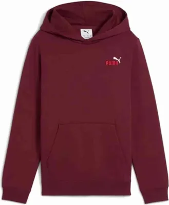Produktbild von Hoodie Puma 685825-96 für Jungen