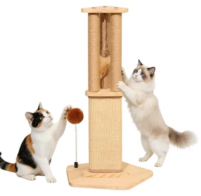 Produktbild von Kratzbaum Sisal, 67 cm, für Katzen, Kratzmöbel