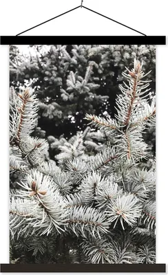 Produktbild von MuchoWow® Textilposter Winter - Baum - Äste 40x60 cm mit schwarzem Rahmen - Wanddekorationen