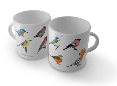 Produktbild von Becher mit bunten Vögeln von Soliton – ideal als Geschenk