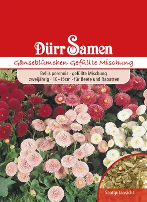 Produktbild von Gänseblümchen gefüllte Mischung | Gänseblümchensamen von Dürr Samen