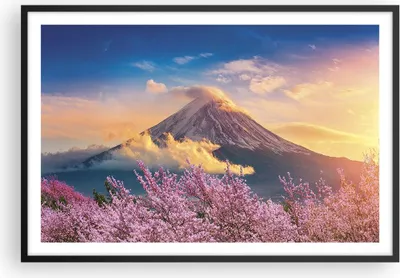 Produktbild von Gerahmtes Poster - Schwarzer Rahmen - Fuji Blume Kirsche - 91,5x61 cm - Wand Bild - Wanddeko - Wandbilder - Kunstposter - Wandposter - Bilderrahmen - Bilder - Kunstdruck - P2BAA91x61-4490