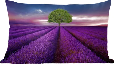 Produktbild von MuchoWow® Zierkissen Sofakissen Wohnzimmer Dekokissen 50x30 cm Lavendel - Baum - Lila - Wohnzimmerdekoration - Polster mit Photo
