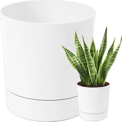 A white planter pot with a snake plant inside, placed next to a larger white planter pot.
