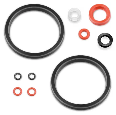 A collection of various sized o-rings and seals.