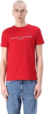Produktbild von T-Shirt Tommy Hilfiger MW0MW11797XLD für Herren