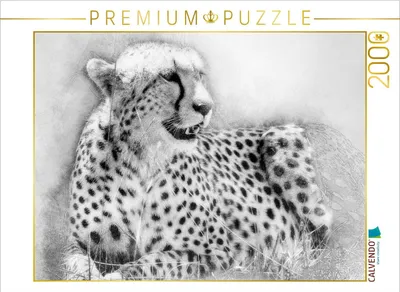 Produktbild von CALVENDO Puzzle Der Gepard 2000 Teile Puzzle quer | 2000 Teile Lege-Größe 90x67cm Foto-Puzzle für glückliche Stunden