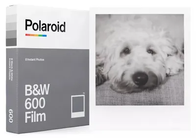 Image de Polaroid Film 600 Noir Et Blanc - Polaroid