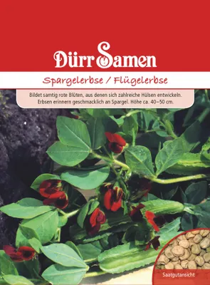 Artikelbild 1 von 'Spargelerbse' aus der Kategorie Gemüsesamen