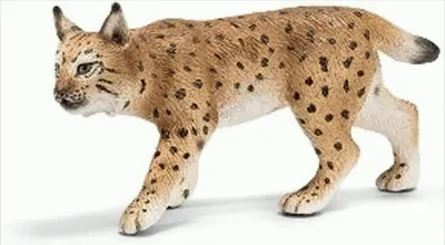 Produktbild von SCHLEICH 14627 Luchsweibchen