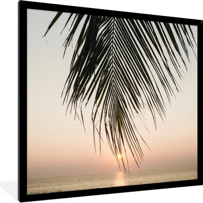 Produktbild von MuchoWow® Gerahmtes Poster Sonne - Palme - Blatt 40x40 cm - Poster mit Schwarzem Bilderrahmen Wandposter Rahmen Foto Bilder - Mit Rahmen - Wanddekoration Schlafzimmer