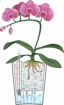 Obrázek produktu pro Lechuza Samozavlažovací květináč Deltini Premium, průměr 14 cm, červená