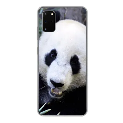 Produktbild von MuchoWow® Handyhülle Schutzhülle Hülle für Samsung Galaxy S20 Plus Panda - Tier - Blätter Silikon Softcase Handy Hülle - Hartschale