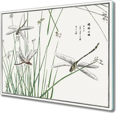 Produktbild von Coloray Herdabdeckplatte 60x52 cm Schneidebrett Kochplattenabdeckung Küchenbrett Hackbrett - Insekten
