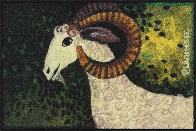 Produktbild von Salonloewe RICCIA Fußmatte Wohnmatte 50 x 75 cm