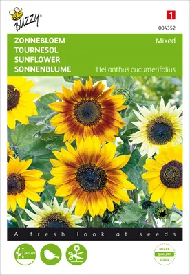 Produktbild von Sonnenblume Mischung | Sonnenblumensamen von Buzzy Seeds
