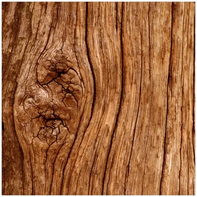 Produktbild von Wallario Magnet für Kühlschrank / Geschirrspüler, magnetisch haftende Folie - 60 x 60 cm, Motiv: Holzstamm mit Asteinschluss