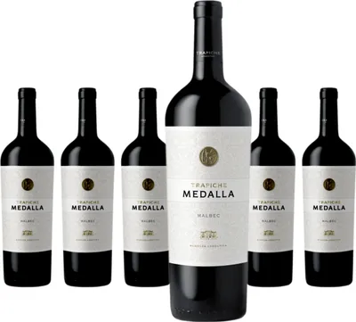 Produktbild von 6 x Bodegas Trapiche Medalla Malbec
