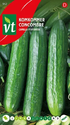 Immagine prodotto di Semi di cetriolo Louisa F1 Hybrid - Circa 5 semi | VT_952
