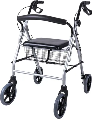 Produktbild von Ridder Rollator Eco   A070110