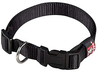Produktbild von Nylon-Grundhalsband für Hunde, Schwarz