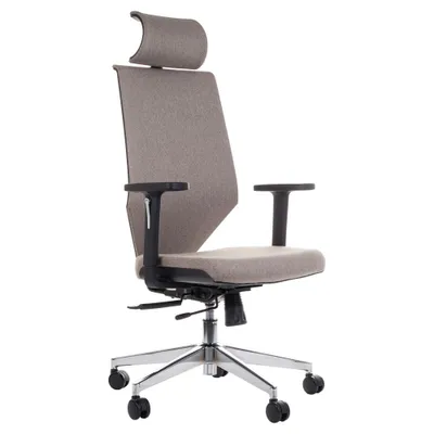 Zdjęcie produktu dla Obrotowe ergonomiczne krzesło biurowe ZN-805-C, regulowane podłokietniki, zagłówek, podstawa aluminiowa, siedzisko przesuwane (przód-tył), beżowy C9