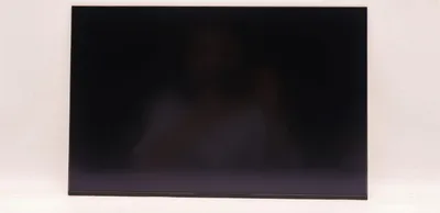 Immagine prodotto di Lenovo DISPLAY AUO 16,0 WUXGA IPS AG