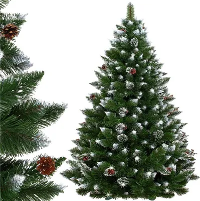 Obrázek produktu pro Vánoční stromek Borovice diamantová 150 cm